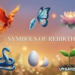 19+ Hidden Symbols of Rebirth You See Every Day but Never Notice