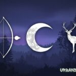 Artemis Symbols | The Sacred Icons of the Wilderness Goddess